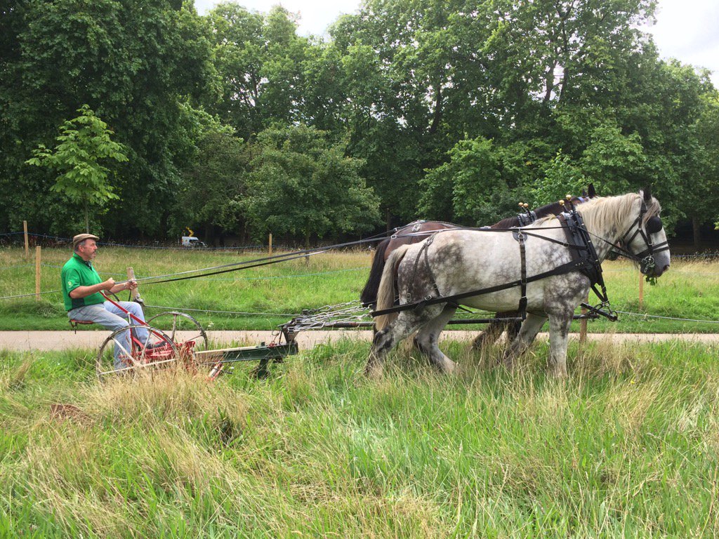 wazzo_m's tweet photo. Visit Green Park this morning @theroyalparks to view traditional use of horses to cut the meadows #OperationCentaur https://t.co/ZXbLyRCKjr