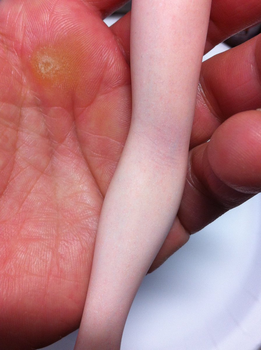 本物にしか見えないプロの絶技w美しい少女の手はフィギュアの手だった 話題の画像プラス 本物にしか見えないプロの絶技w美しい少女の手はフィギュアの手だった 話題の画像プラス