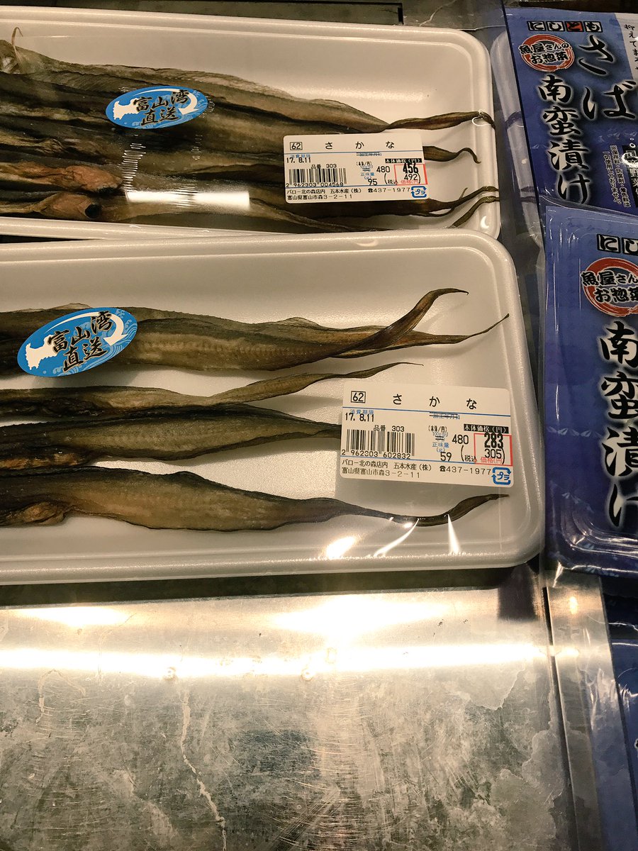 kitaiyuki19's tweet photo. さかな🐟 https://t.co/WWVLYKeump