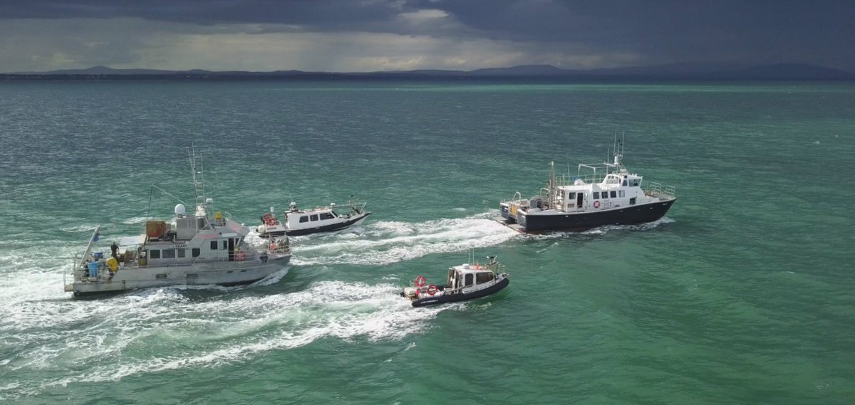 followtheboats's tweet image. The #INFOMAR Inshore Fleet!