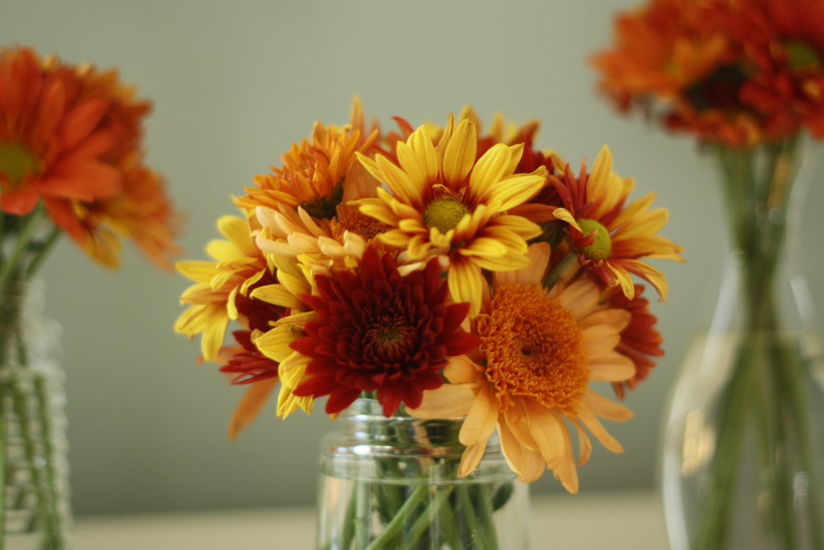 Trick : How to make your flowers last longer ? 
When you fill the vase, add 2 tablespoons sugar, you'll be surprised it stays fresh longer.