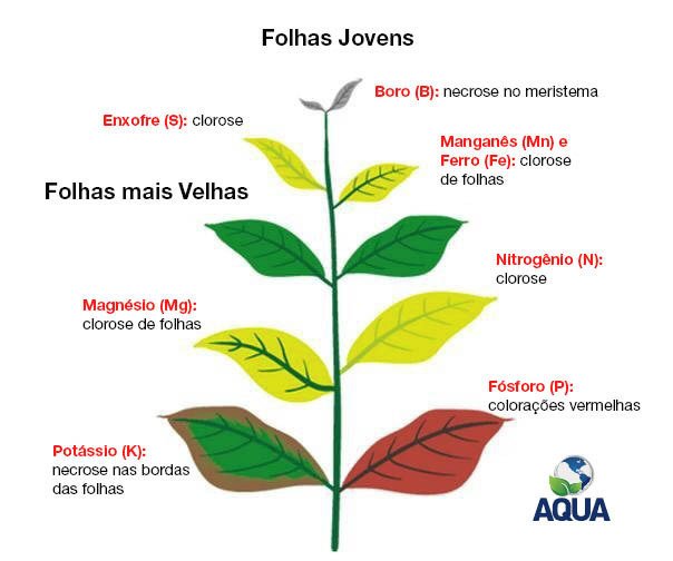 Micael Soares Silva (@micaelteju) on Twitter photo 