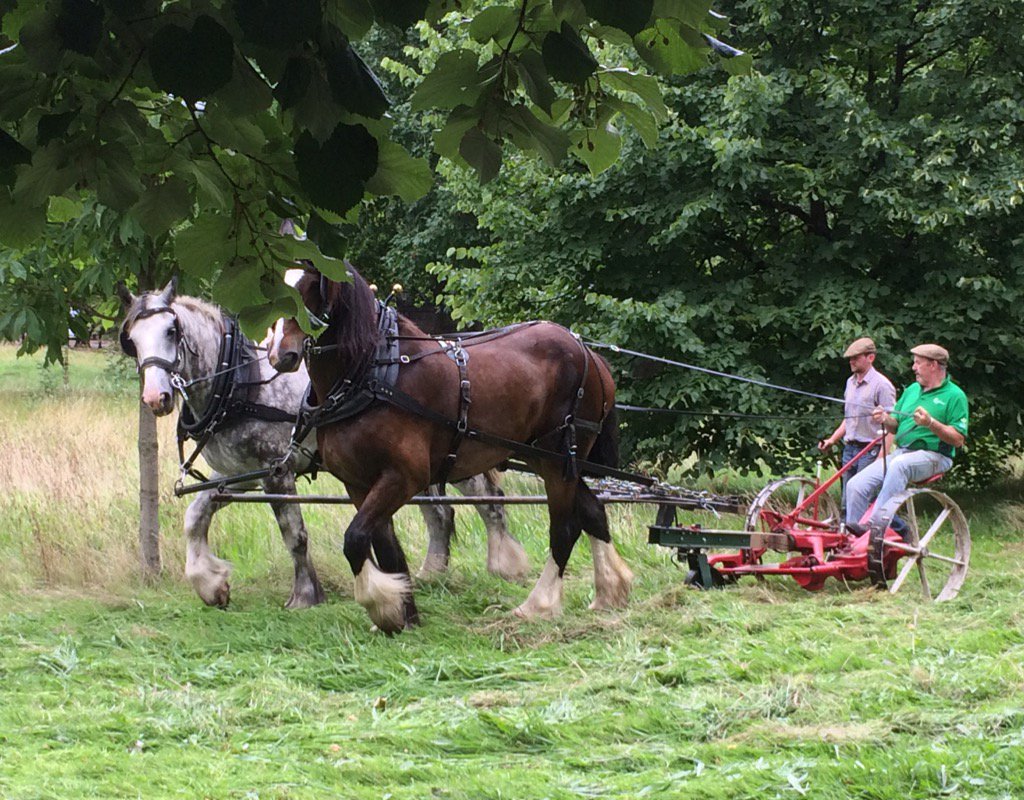wazzo_m's tweet photo. You can see the power in action of these fine horses at work in Green Park @theroyalparks #OperationCentaur https://t.co/5RpEi0MF0w