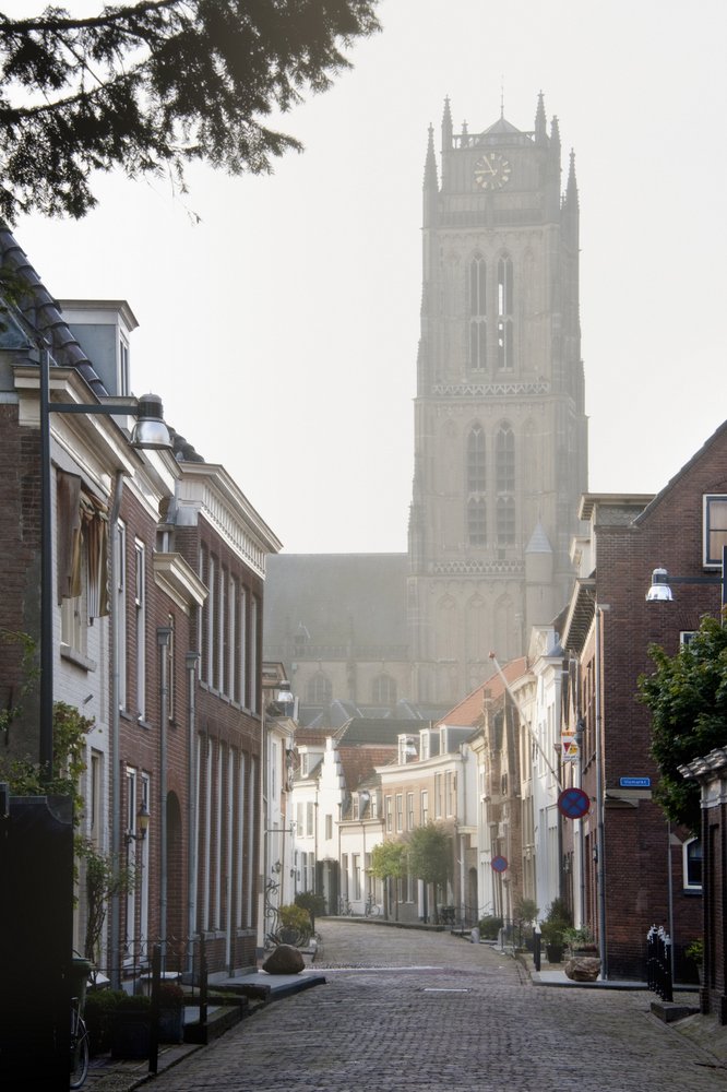 Een leuk uitjes deze zomer, maar slecht ter been? Met de rolstoelroute Zaltbommel is een fijn uitje gegarandeerd ow.ly/Mc2930eatCr