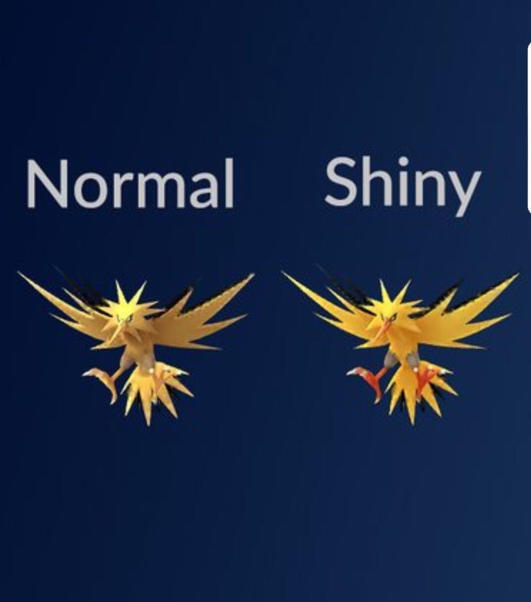 Shiny Zapdos 