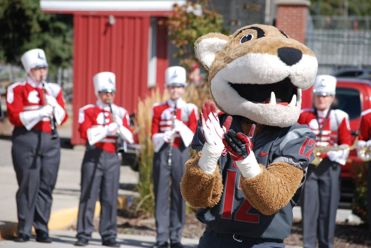 Happy #InternationalCatDay, <a href="/ButchTCougar/">Butch T. Cougar</a>! 🐱🐾 #WSU #GoCougs