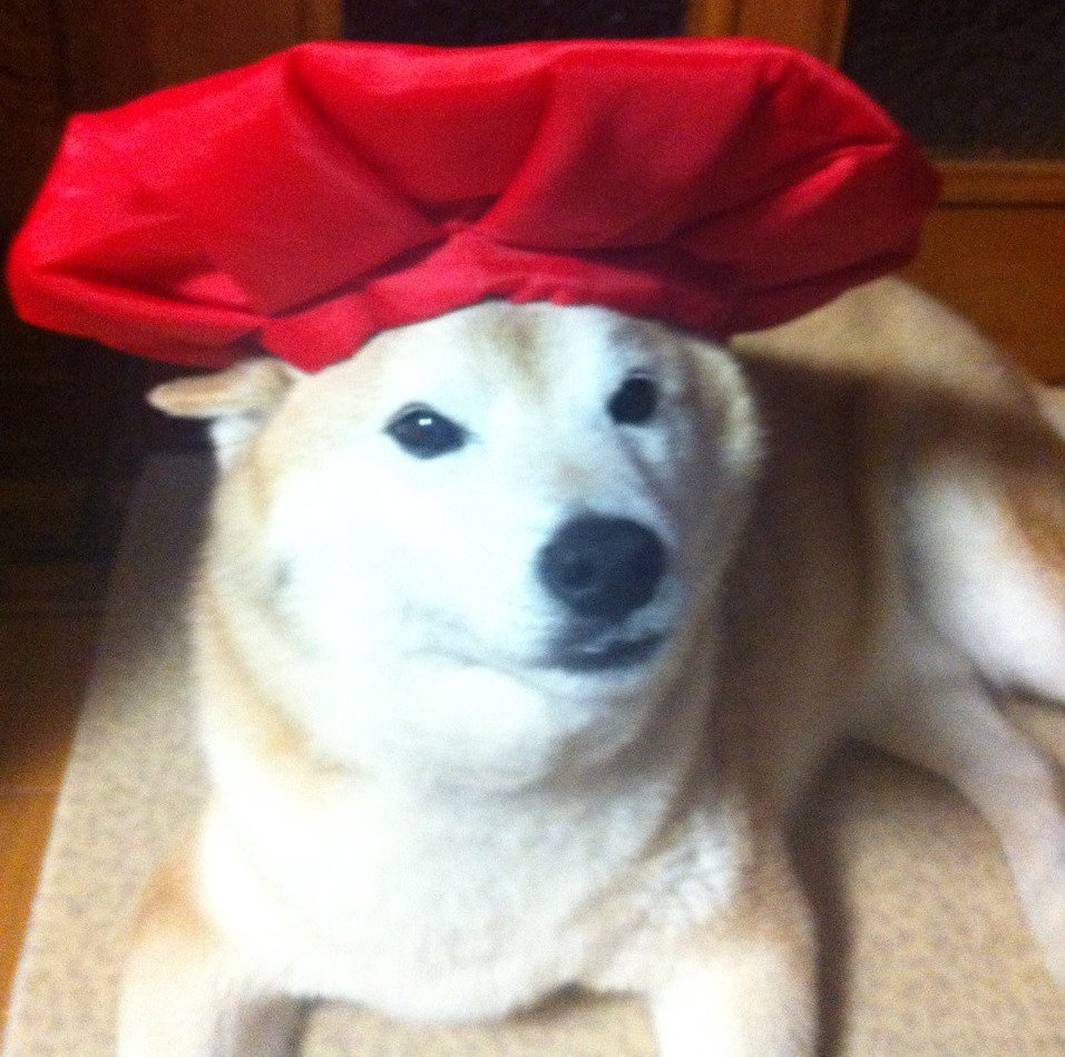 還暦になりましたｗ #ついっぷるトレンド画像 