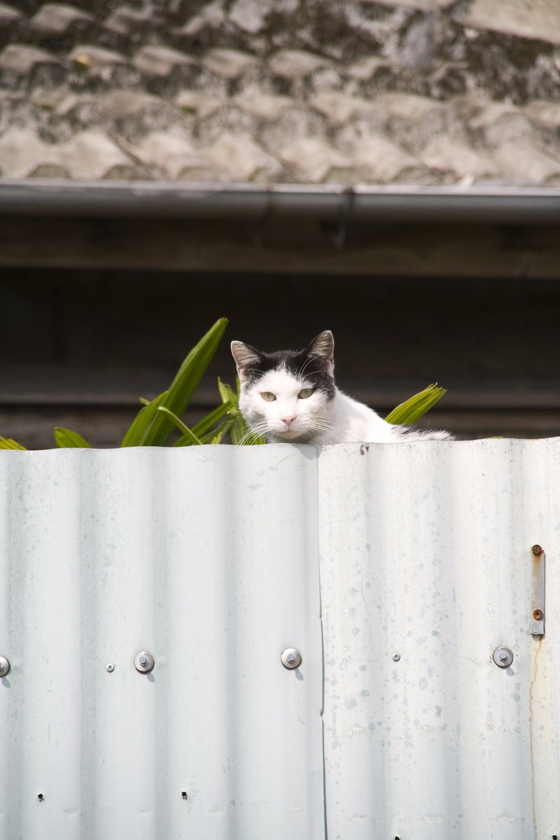 なんか用かね？うちの人は留守だよ。 #ついっぷるトレンド画像 