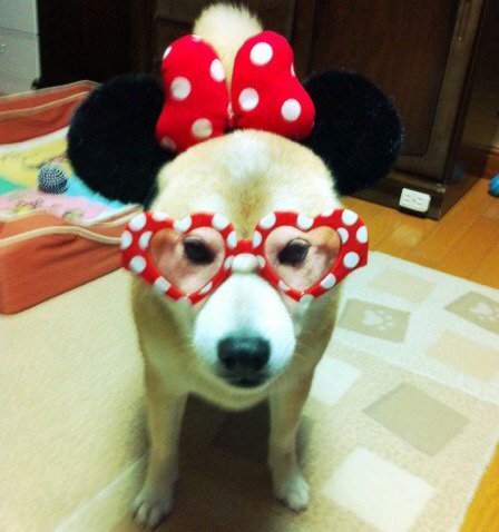 ディズニー大好き♪  #ついっぷるトレンド画像 