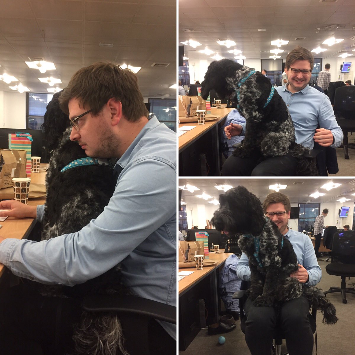 PerkboxDexter's tweet image. Improving employee happiness one member of staff at a time #chiefhappinessofficer @perkbox HQ