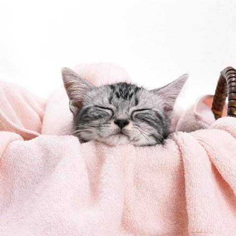 ここの居心地最高です。  #ついっぷるトレンド画像 