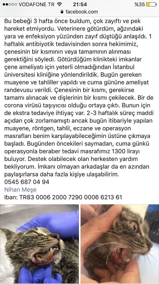 NihanMese's tweet photo. @danlabilic destek bulunamazsa ameliyat olamayacak https://t.co/W1Za9t5ILJ