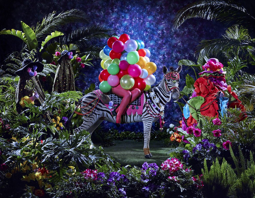 Elephant Magazine tweet media