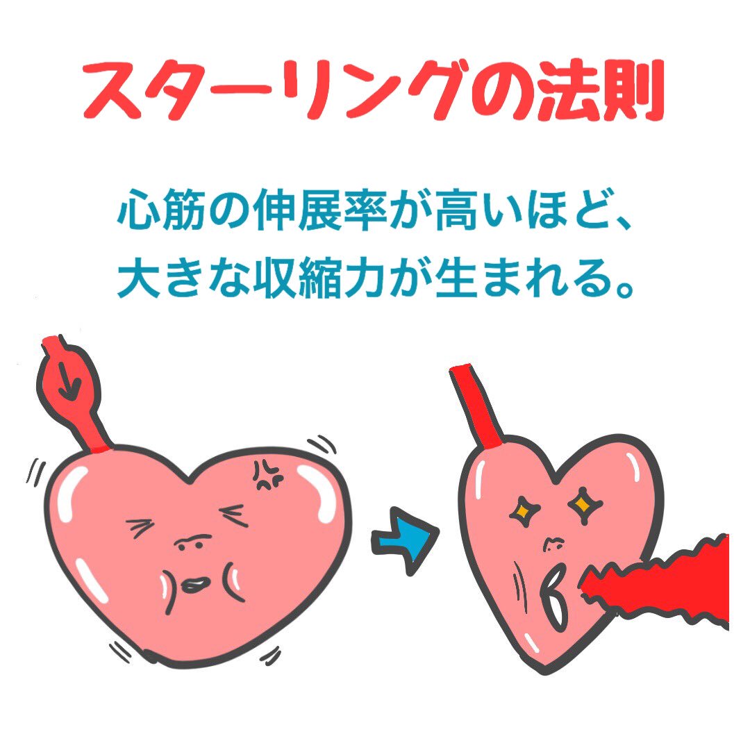 Images Of スターリングの心臓の法則 Japaneseclass Jp
