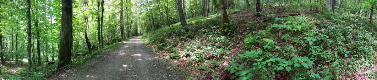 WarrenWalksNYC's tweet photo. #MosesCone #hiking trail, #BlowingRock #NC https://t.co/uzqHaP4Vwv