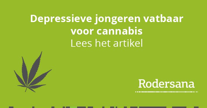 RoderSana tweet media