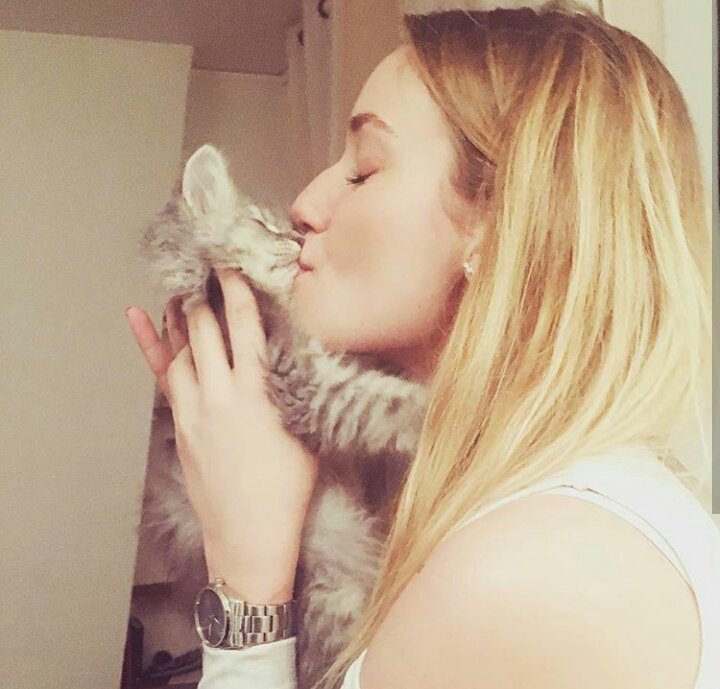 MeganFanSecours's tweet photo. Have a good day 🌞 En cette #JourneeDuChat, une pensée au petit fauve de Megan qui a bien grandi, Maki. 🐱 https://t.co/Nczc2joKD2