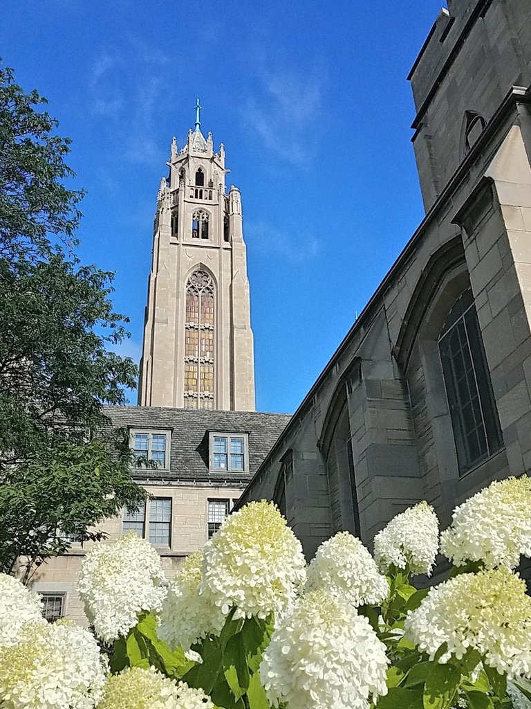 MAG_Rochester's tweet image. Good Morning.

The gardens are especially colorful today.
Check them out.
Anytime.
Always open. 
#EXPLORENOTA
#publicart