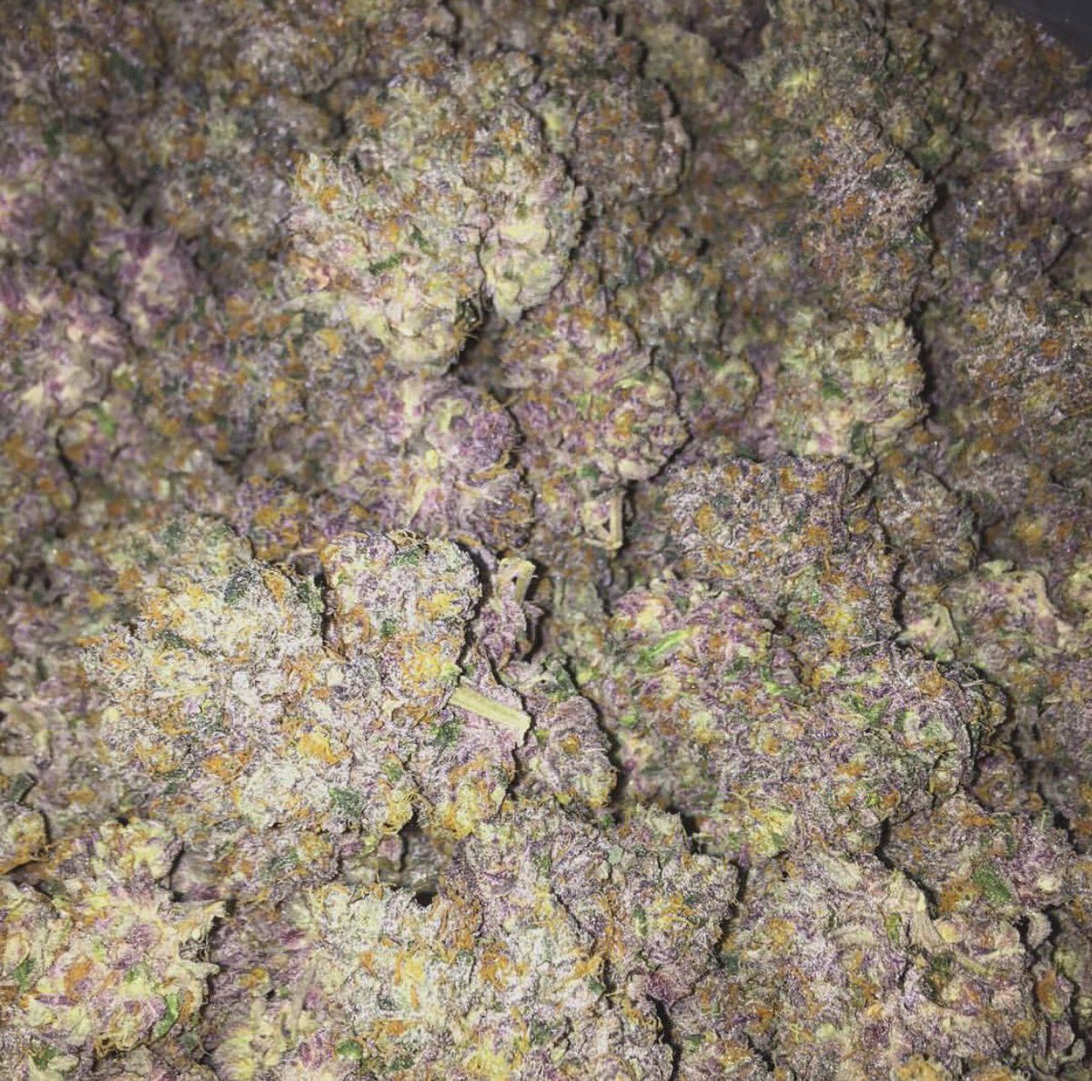 ParisDFarms tweet picture