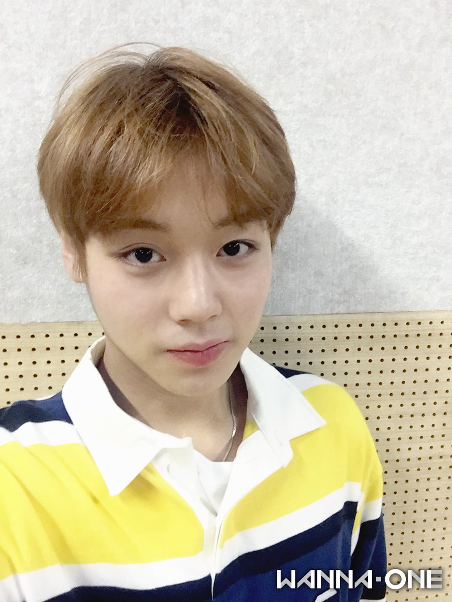 FunWithgams's tweet image. Go follow ma boy @Wink_Boy_Jihoon ♥and i'll love you foever ♥ he is so talented ♥ #WANNAONE️  #parkjihoon  #WANNABLE #wannableと繋がりたい