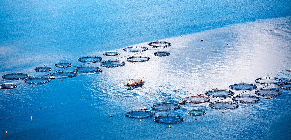 ABB Norge (@abbnorge) on Twitter photo En uke igjen til <a href="/AquaNorExhibit/">Aqua Nor Exhibition</a> 15-18 aug i #Trondheim. Ta en tur for en prat om #havbruk #akvakultur #kraftfraland ow.ly/u2Nc30efCNl En uke igjen til <a href="/AquaNorExhibit/">Aqua Nor Exhibition</a> 15-18 aug i #Trondheim. Ta en tur for en prat om #havbruk #akvakultur #kraftfraland ow.ly/u2Nc30efCNl