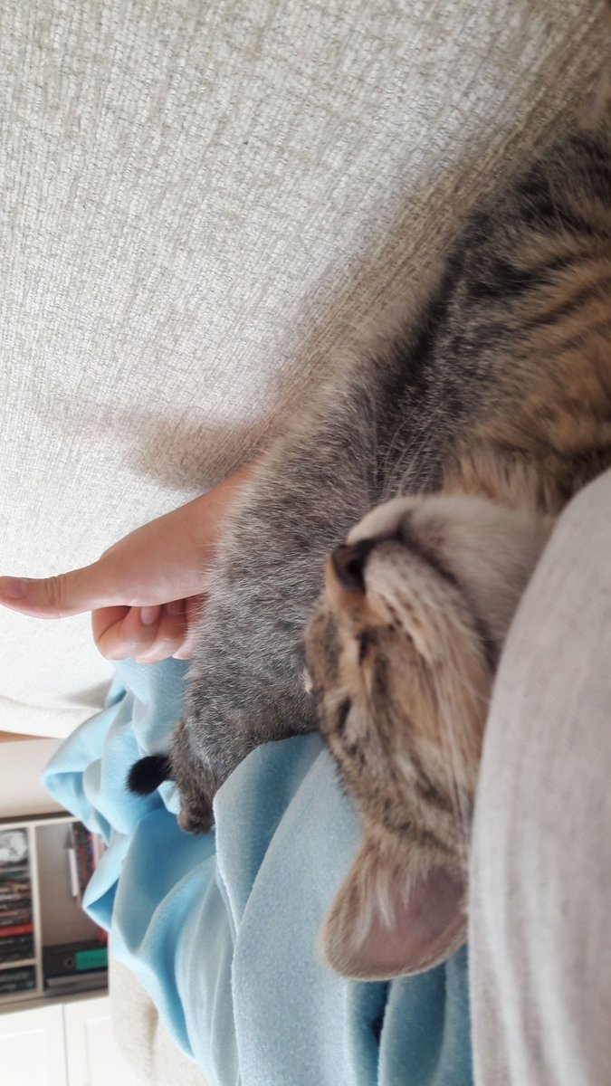 kuchihann's tweet image. Pozdrawiamy #mojkot