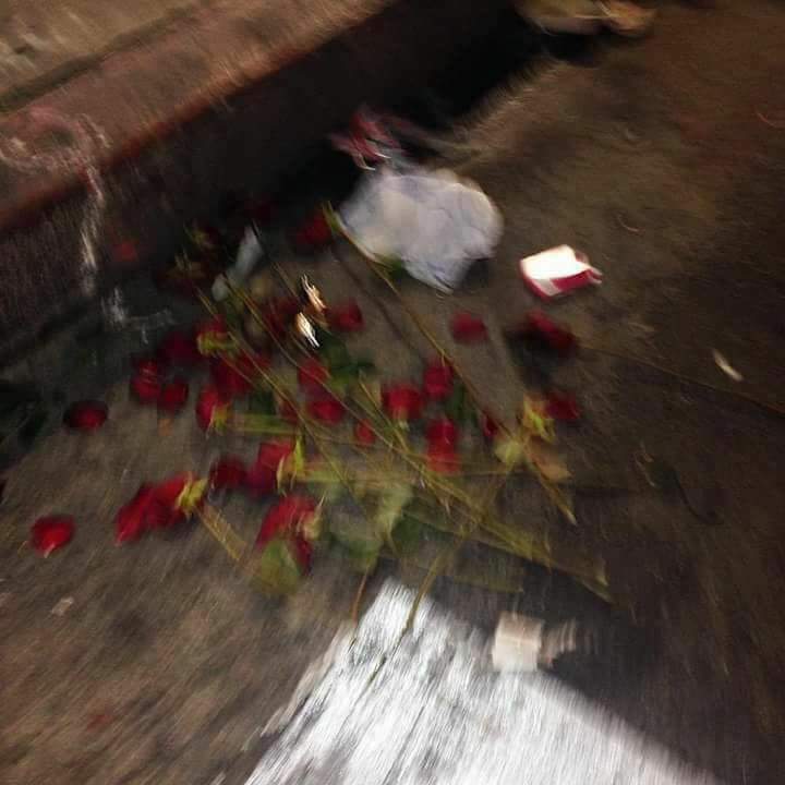 http_Arizona_'s tweet image. Flores desperdiçada com pessoas que não vale apena. 🌷😥