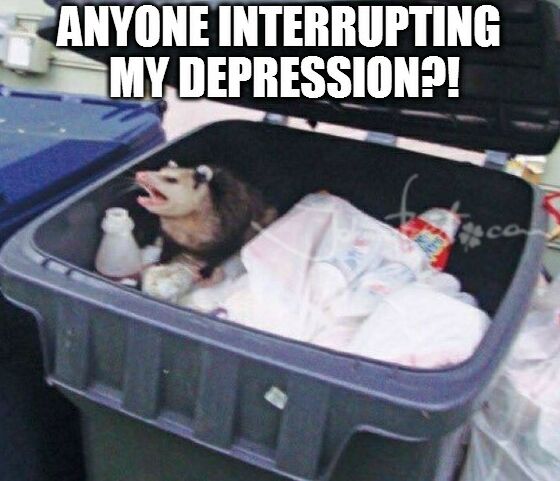 JohnnyBetFans's tweet image. de.johnnybet.com/hoffenheim-liv… #anyone #interrupting #depression #funnyanimals #follow