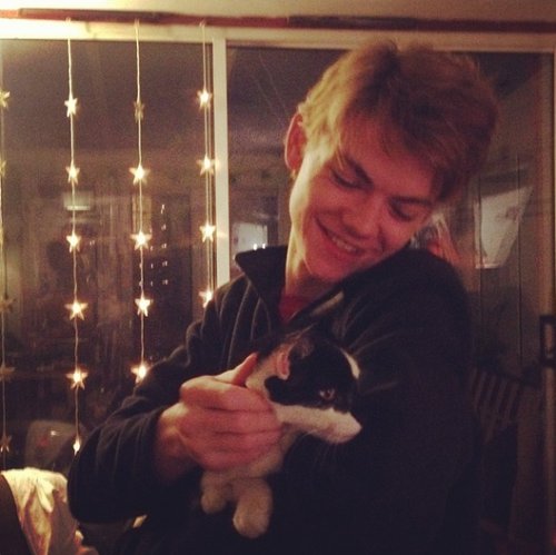 ECDL_Oficial's tweet photo. ¡Feliz Día Internacional del Gato, corredores!😽 #InternationalCatDay #ThomasBrodieSangter #ElCorredorDelLaberinto #DylanOBrien #JamesDashner https://t.co/5O1zO4tlOw