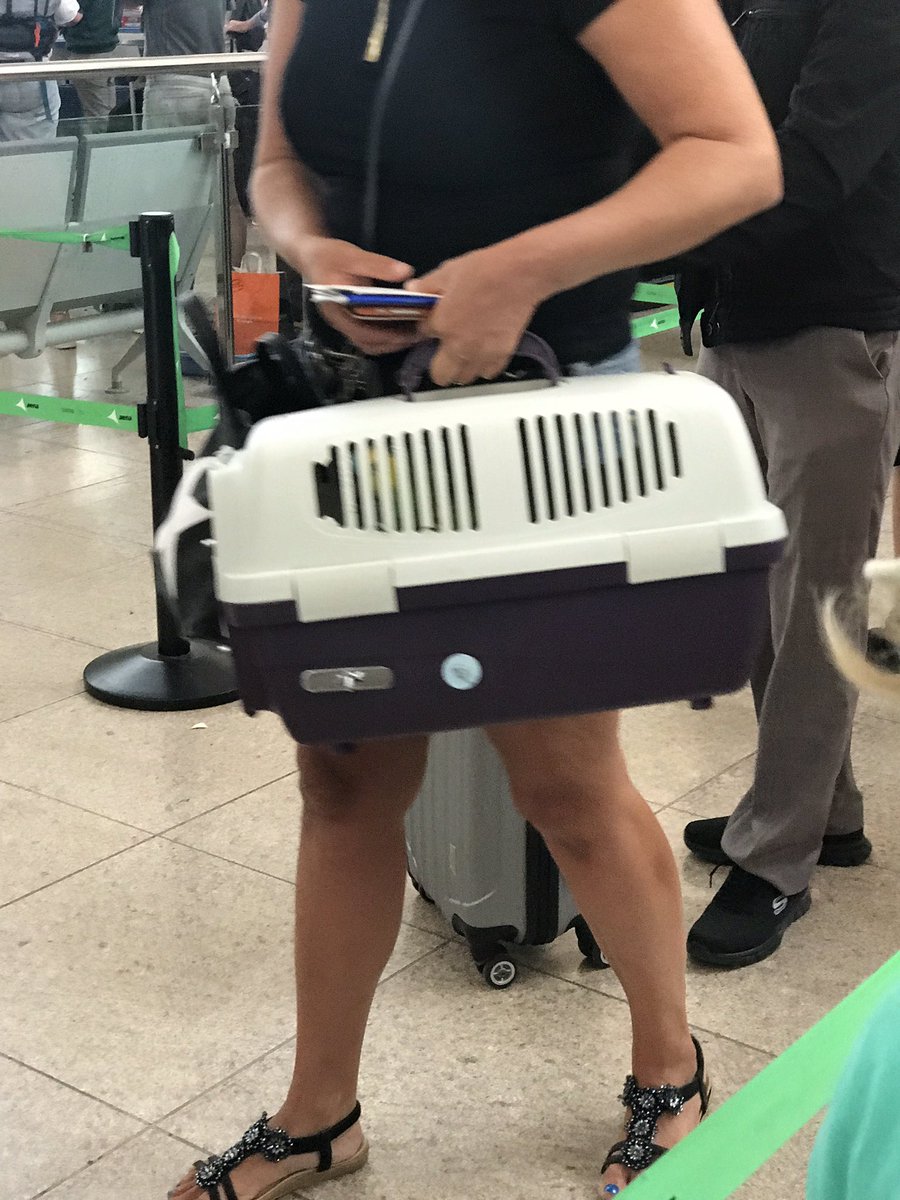 Through security in 20 minutes - also saw someone with a parrot in a box #barcelonaairport #parrot