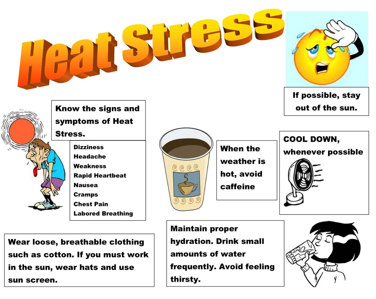 galpowersystems's tweet photo. August is one of Canada’s hottest months.  See these tips &amp; know how to avoid Heat Stress! #safetytips https://t.co/edCRFMkLHN