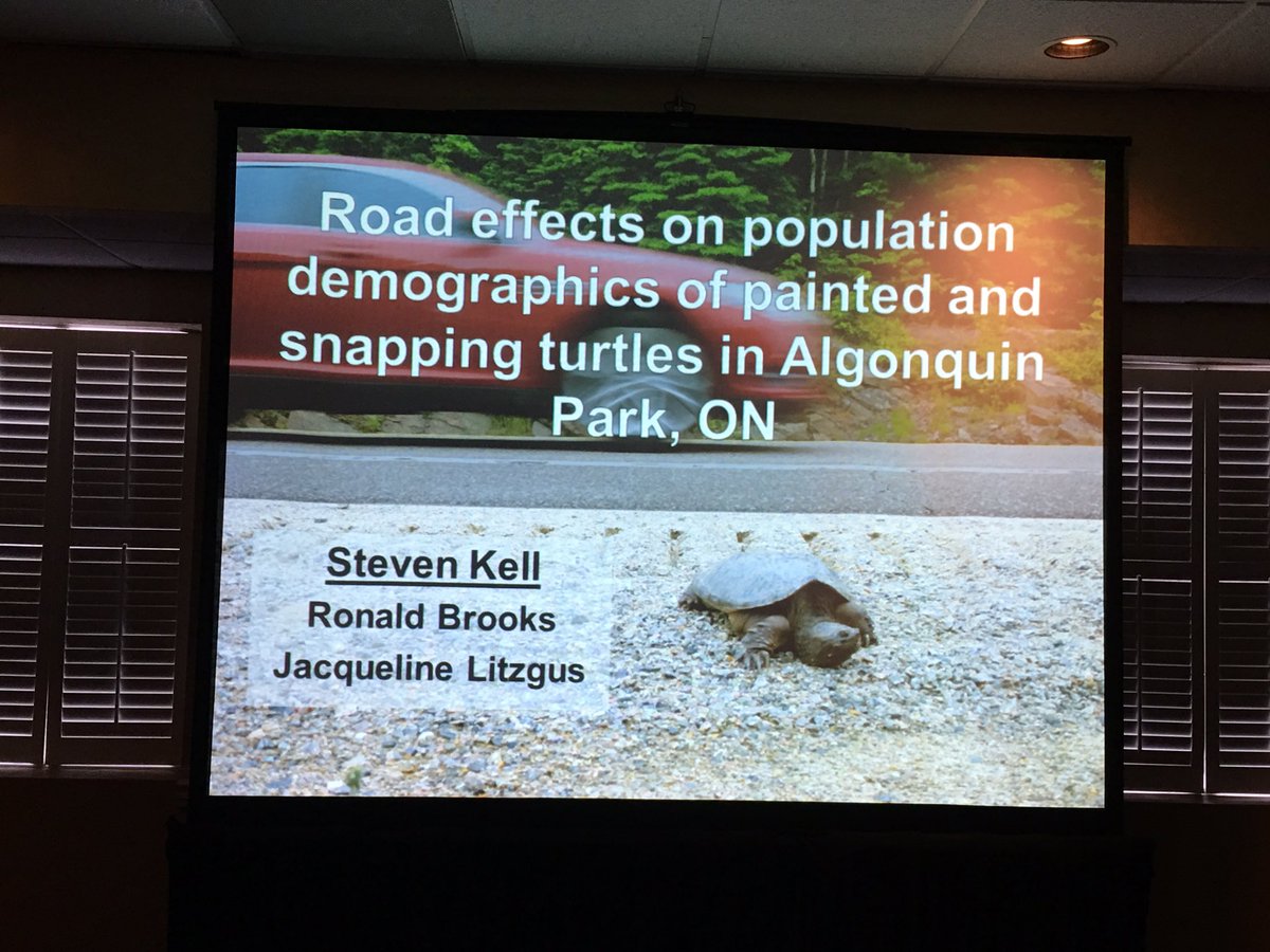 TurtleSurvival's tweet photo. S Kell: Road Effects on Painted and Snapping Turtle Demographics #TSA2017 https://t.co/utfJGY1wvX