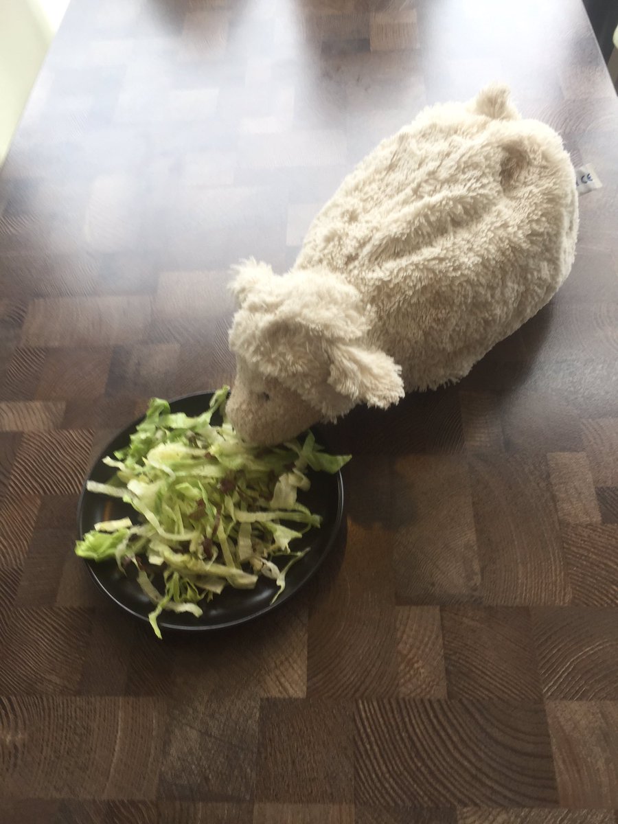 Wie o wie is zn knuffel vergeten, we hebben hem gevoerd maar hij wil niet stil worden, volgens ons mist hij zn baasje!!