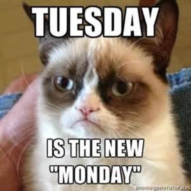DPS_SECURITY's tweet photo. Happy Tuesday!!! #TuesdayThoughts #internationalcatday #NationalFrozenCustardDay #fire #safety https://t.co/A6H0hbni85