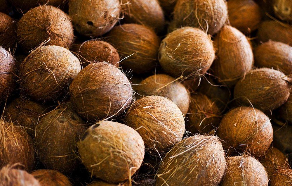 This man had sex with a coconut and it ended as horribly as you'd expect: spr.ly/60118QLcb