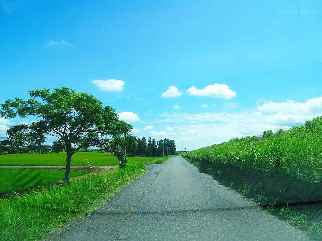 一本道風景 Twitter Search Twitter