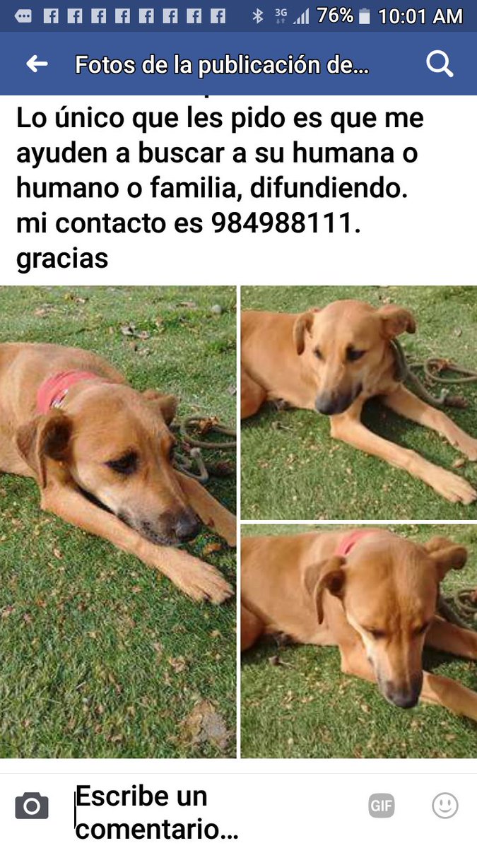 Atencion me ayudan rt a full <a href="/bartorell/">#SoyBartorell</a> <a href="/botaspuesta/">Paula BotasPuestas</a> <a href="/patrmarsh/">𑁍ᑭᗩT ♀️🟣</a> <a href="/PerrosPlazaHuem/">Perras Tuiteras🐾 Barrio Franklin 🇨🇱🐶🐱</a> <a href="/Beth396/">Beth</a> <a href="/FCO_mvacarezza/">FCO MarcelaVacarezza</a> <a href="/Salvandopatit4s/">Salvando Patitas Chile 🇨🇱</a> <a href="/kattykowaleczko/">Katty Kowaleczko</a>