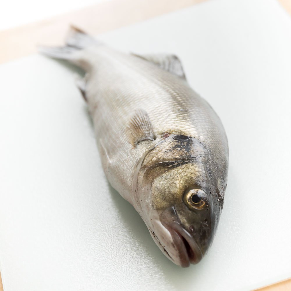 imagingessence's tweet photo. Chef question - just been given this bass beauty, fresh caught 10am, best to leave 24hrs in fridge before gutting, or better to do now? https://t.co/m8UTlkt7n3