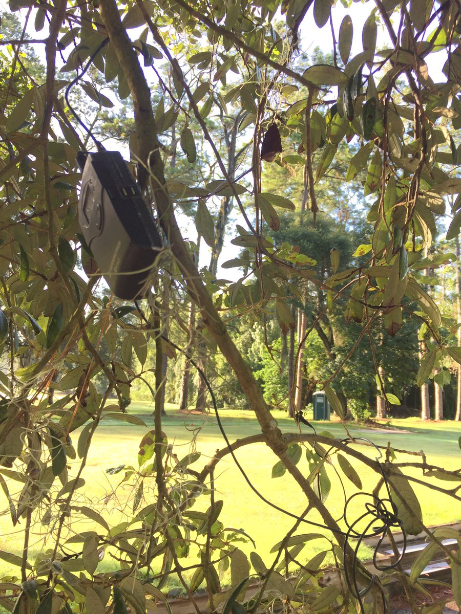 LewTurner's tweet photo. A look at the gear behind the scenes. Another day, another microphone in a tree. This isn't my #SquadGoals, this is my #SquadReality https://t.co/BI3xG3aTeY