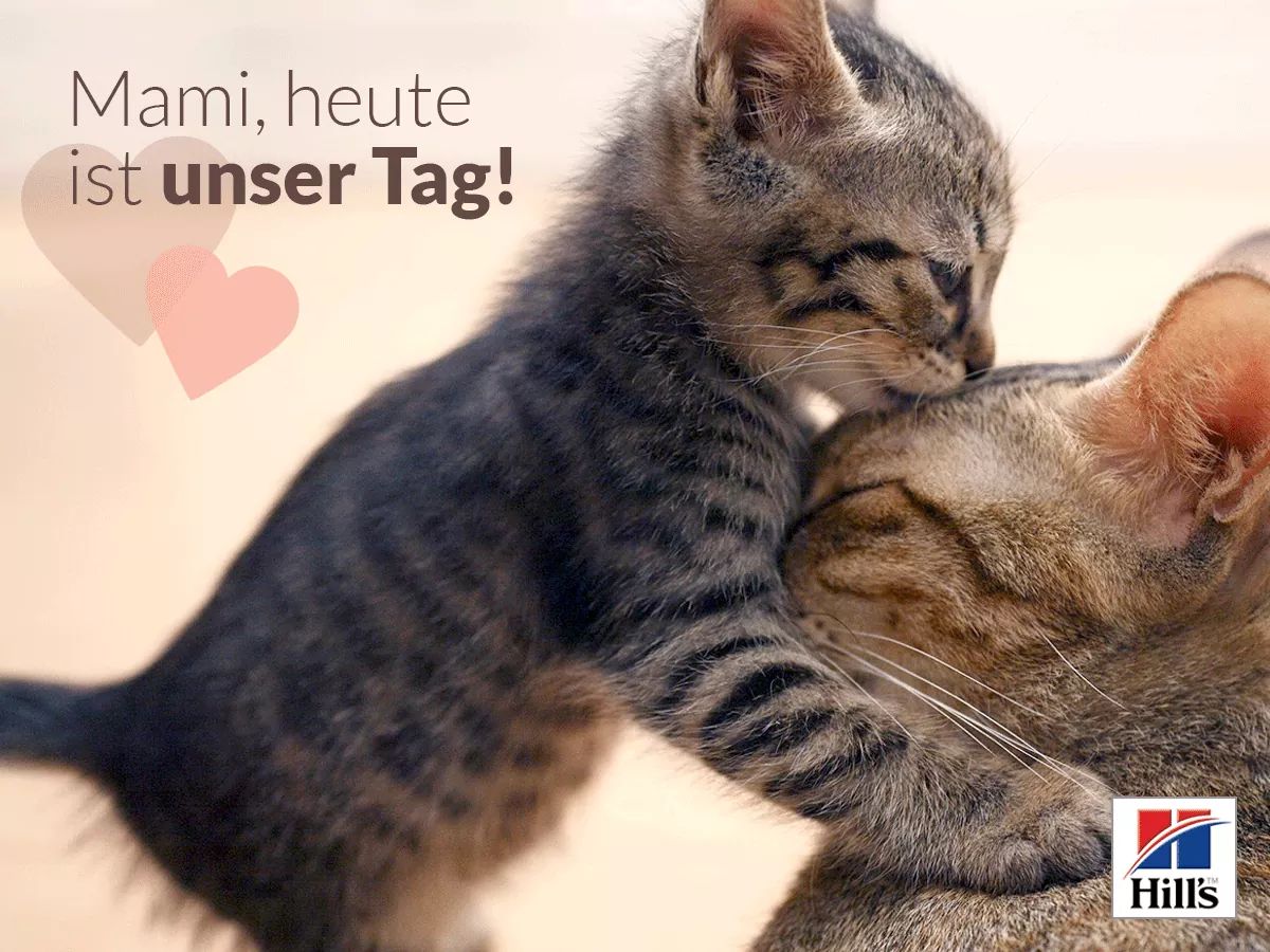 Today is Rogers and my Day. Happy birthday Roger Federer. 