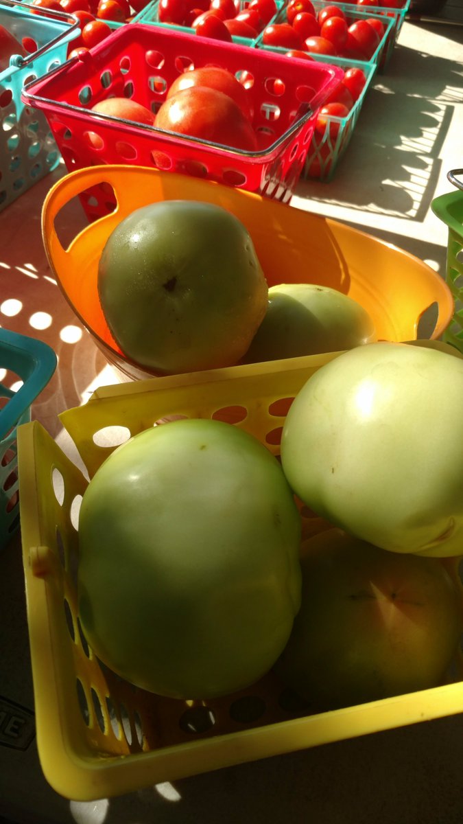 HburgMarket's tweet image. Vendor of the Week: Effie Bryant of Bryant Produce. She sells tomatoes, okra, fig preserves, salsa, green tomatoes, and boiled peanuts!