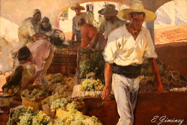 698canela's tweet photo. @AmparoDelMoral1 Gracias Amparo x l RT. T dejo n cuadro de su esplendido museo @MBellasArtesAs d Oviedo. Trasportando l uva d #JoaquínSorolla. #museogratis https://t.co/RxkW5ly7VV