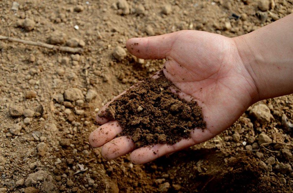 Asbestos_Aware's tweet photo. Digging deep into the UK’s lurking asbestos problem

https://t.co/VDjy5SmSZ0

#asbestos #soil https://t.co/GAk318nOwD