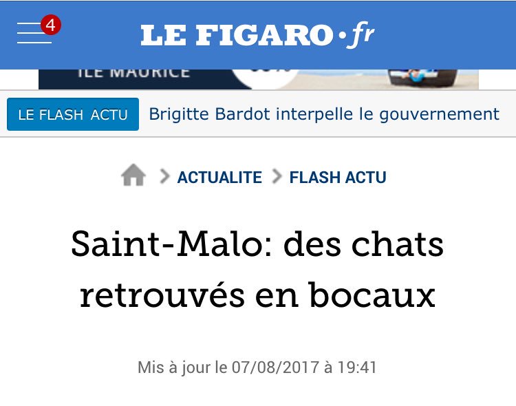 Samoht_uaeroM's tweet photo. Quand on aime on conserve ❤️ #journeeinternationaleduchat #TABUSES https://t.co/owfsEaRelE