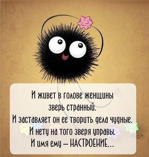 Aна Большакова (@a75158961) on Twitter photo 