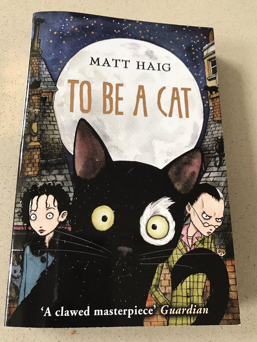 GoZo73's tweet photo. Just realised it's #NationalCatDay and my first born has started this beauty @matthaig1 #tobeacat https://t.co/l8mQTQhxPa