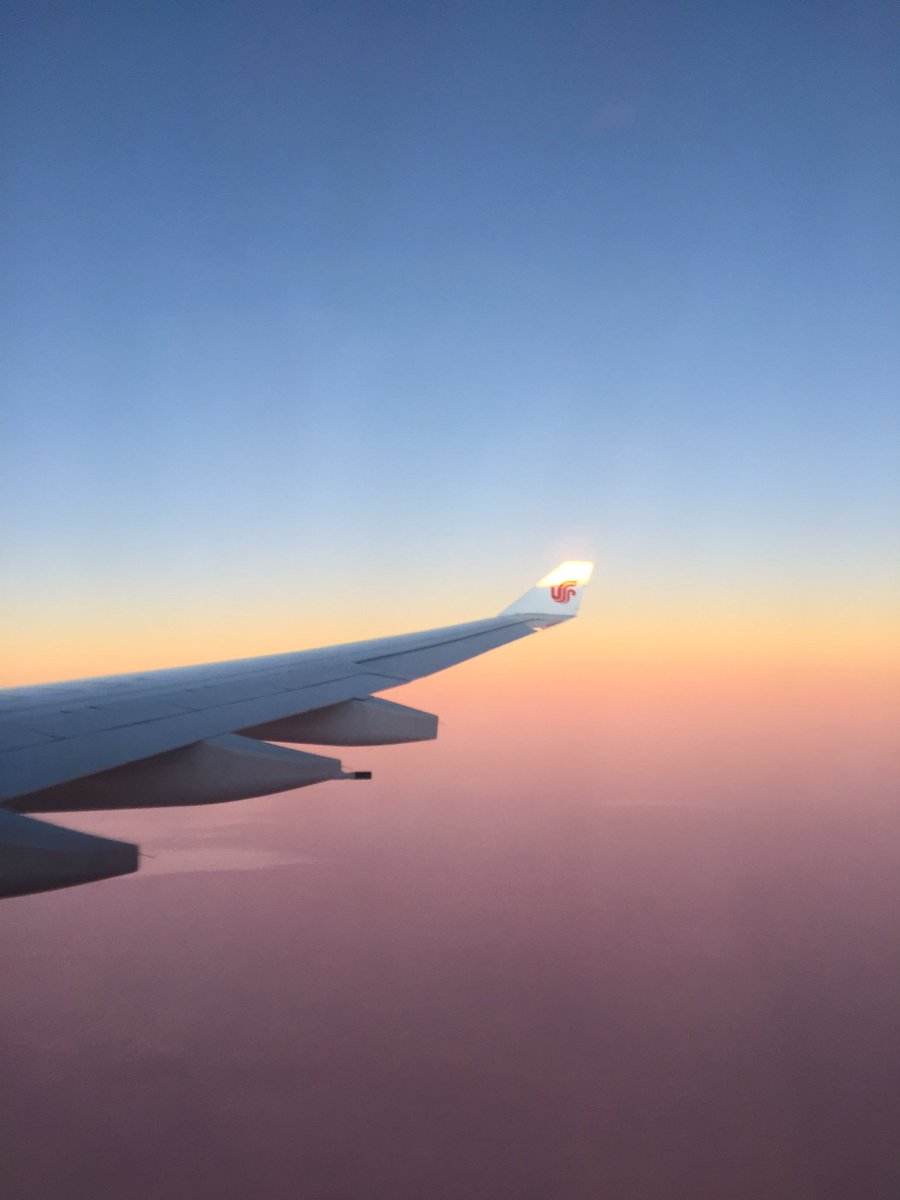 Syngnathy's tweet photo. Plane https://t.co/wuiD6p3ISp