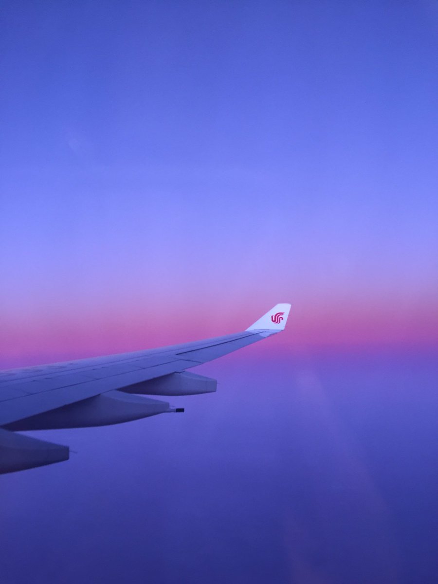 Syngnathy's tweet photo. Plane https://t.co/wuiD6p3ISp