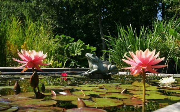 Scheldeland tweet media