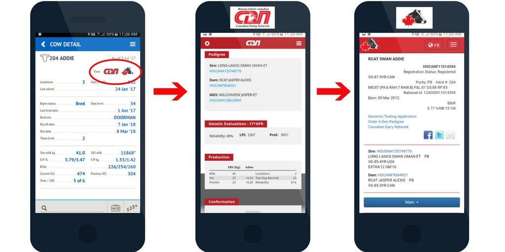 CanWest DHI tweet media